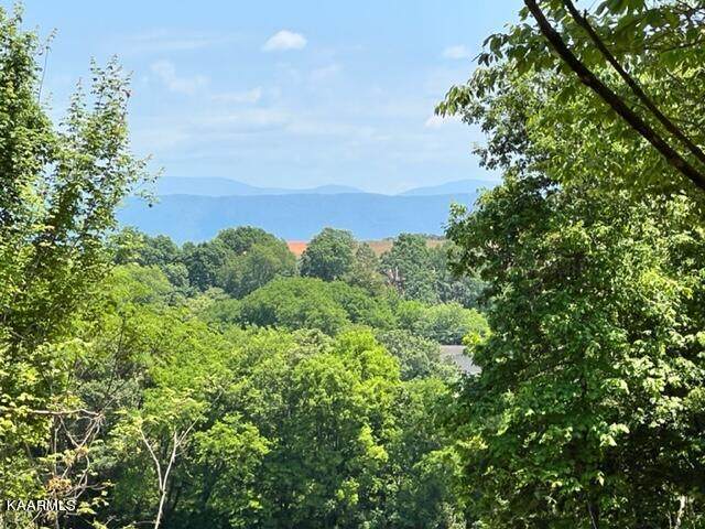 3131 Big Springs Rd - Photo 1