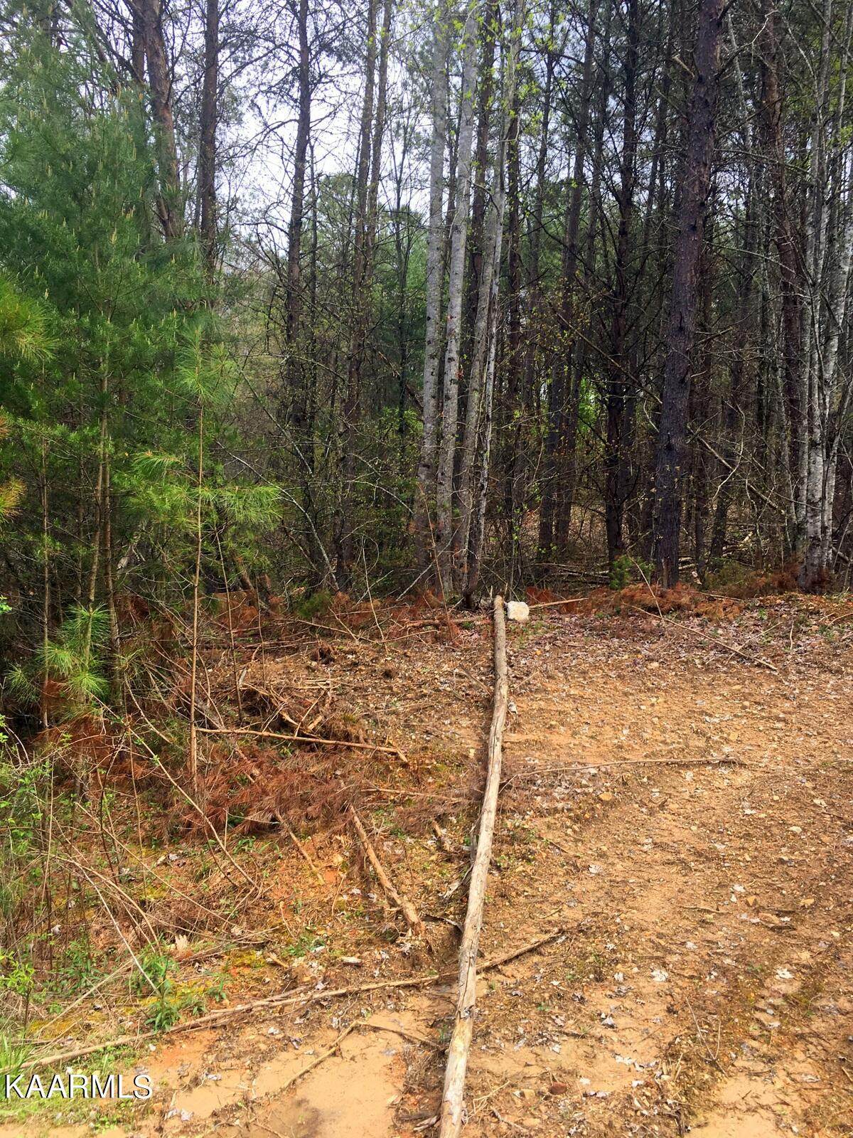 545 Harlan Mountain Rd - Photo 1