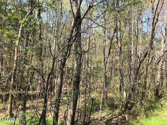 Butler Rd - Photo 1