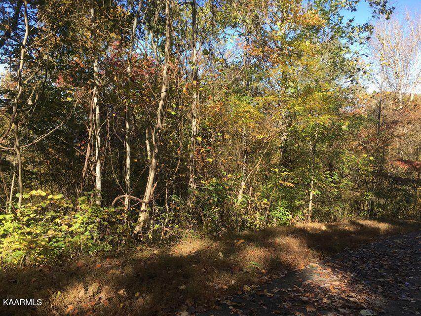 63 Overlook Trail Tr - Photo 1