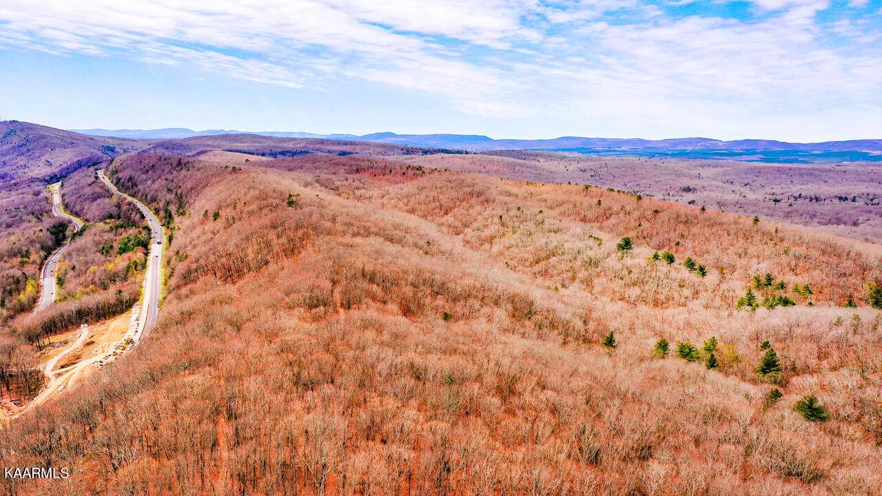 Black Hollow Rd - Photo 1