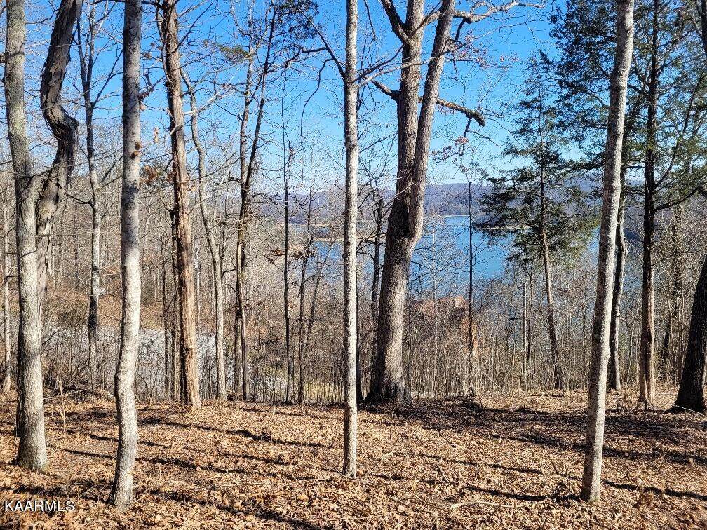 L-264 Lakeview Dr. - Photo 1