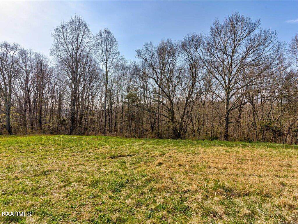 Tract 2 Wilson Rd - Photo 1