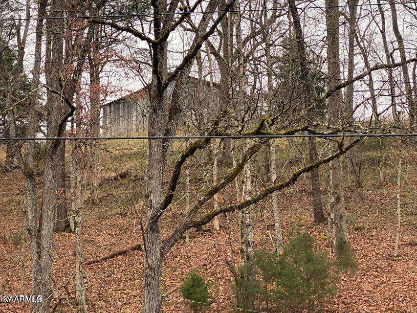 Speaks Branch - Photo 1