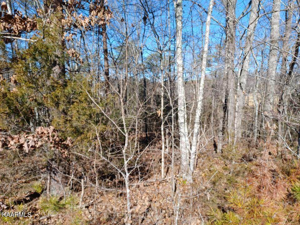 00 Highway 68 - Photo 1