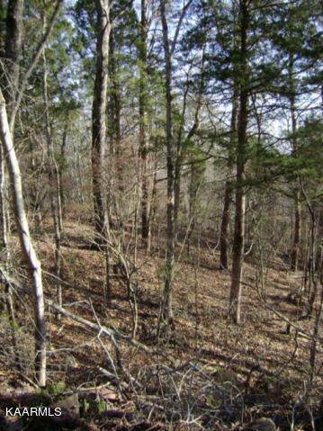 Tellico Camp Rd - Photo 1