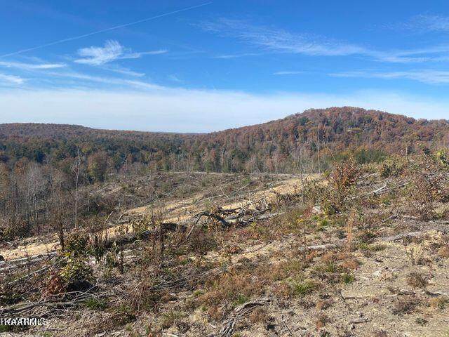 00 Big Ridge Rd - Photo 1