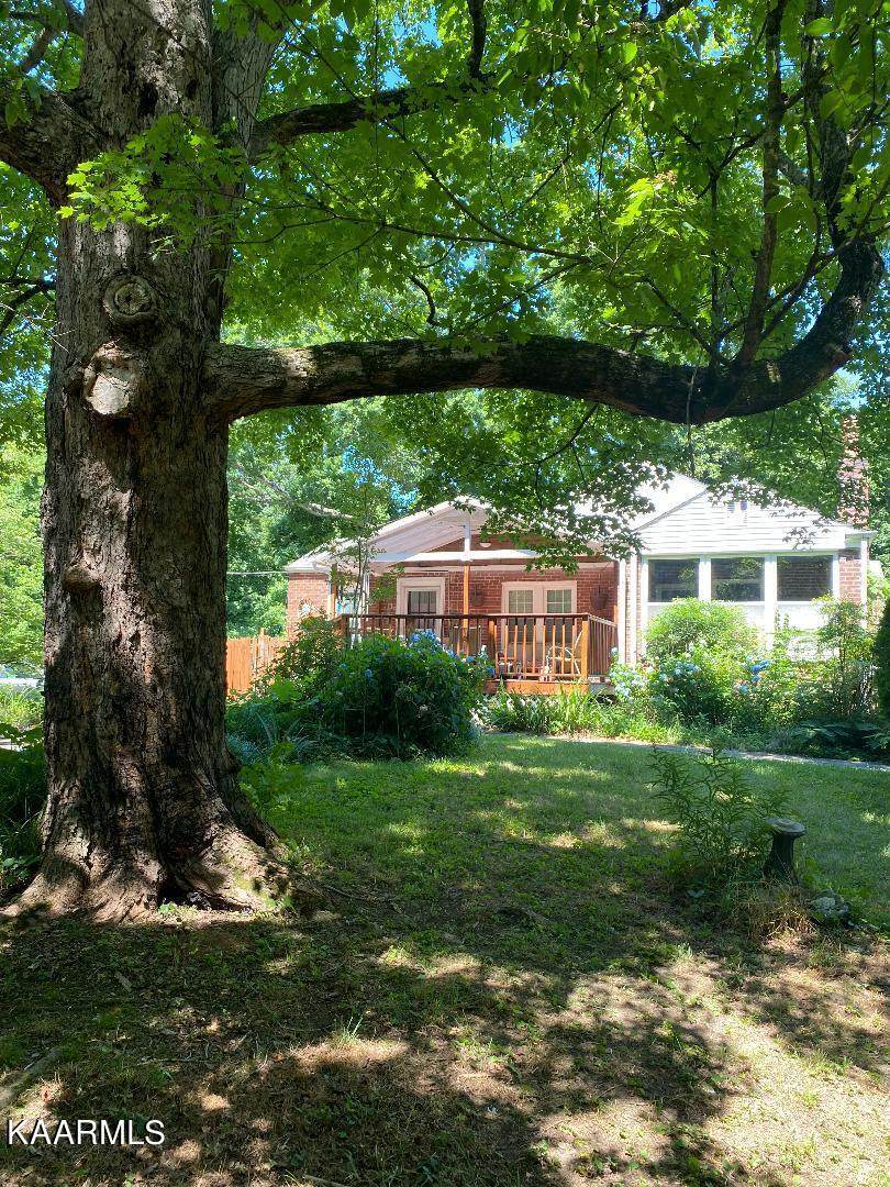 4303 Pleasant Ridge Rd - Photo 1