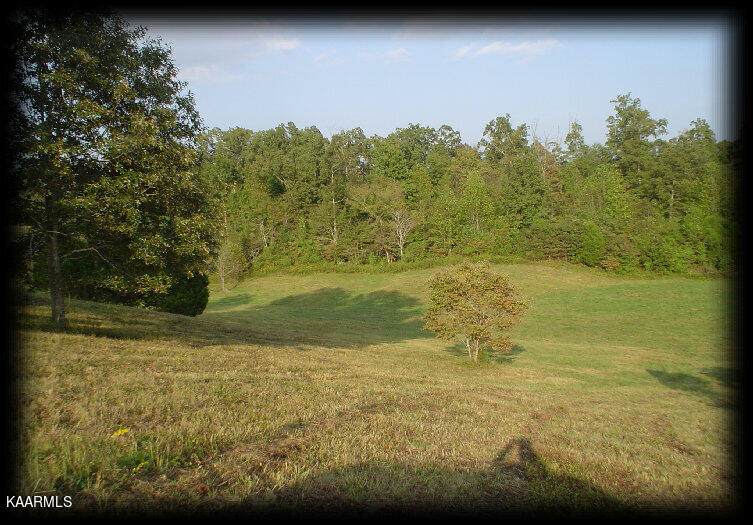 Cedar Creek Rd - Photo 1