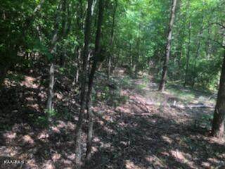 501 Camp Austin Rd - Photo 1