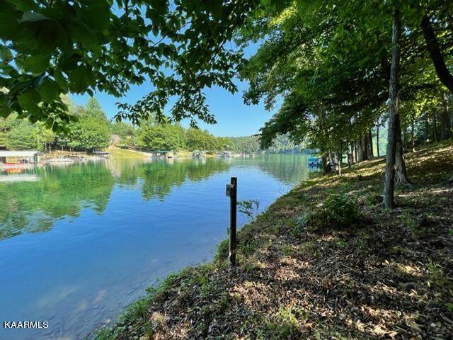 Shorewood Lane - Photo 1