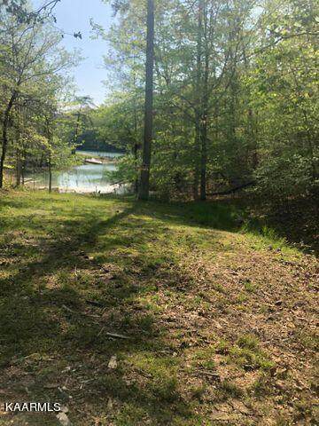Lot 14 Black Fox Harbor Rd - Photo 1
