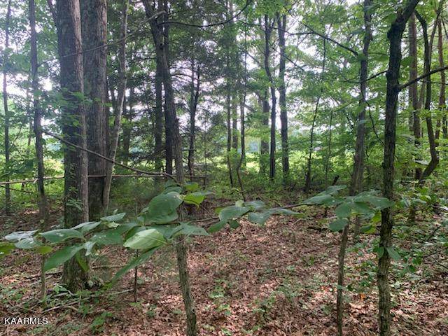 Meadow Creek Drive - Photo 1