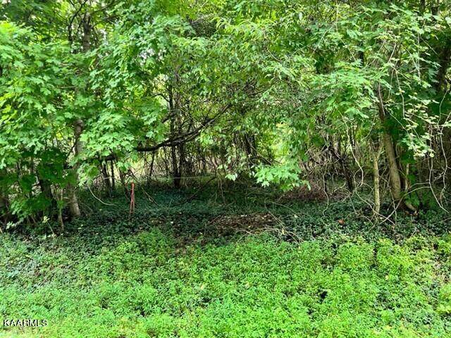 00 Rayl Hollow Rd - Photo 1