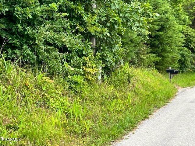 00 Sam Davis Rd - Photo 1