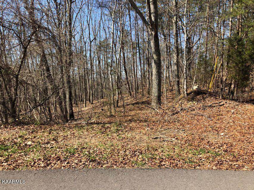 Skyline Lane - Photo 1