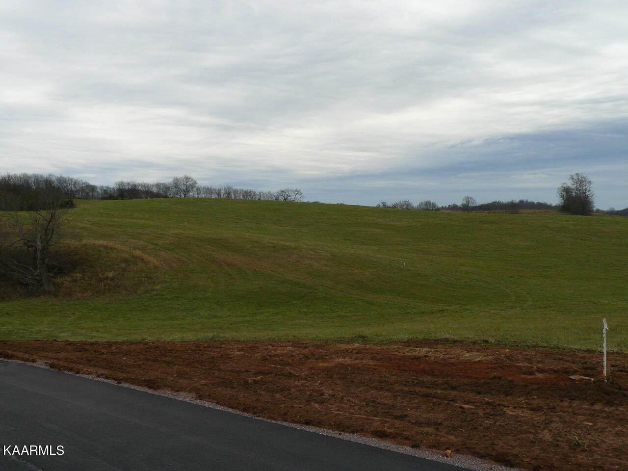 Lot 9 Schertz Lane - Photo 1