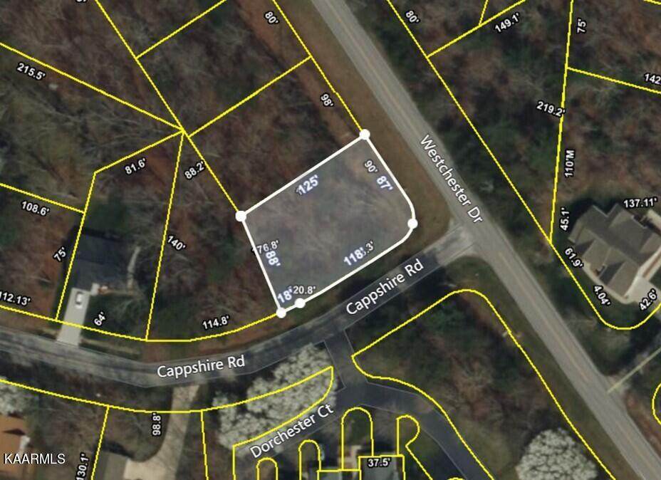 556 Westchester Drive - Photo 1