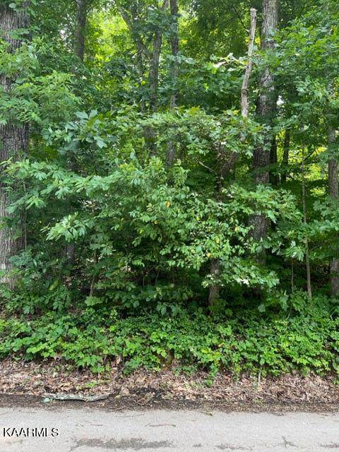 0 Knight Rd - Photo 1