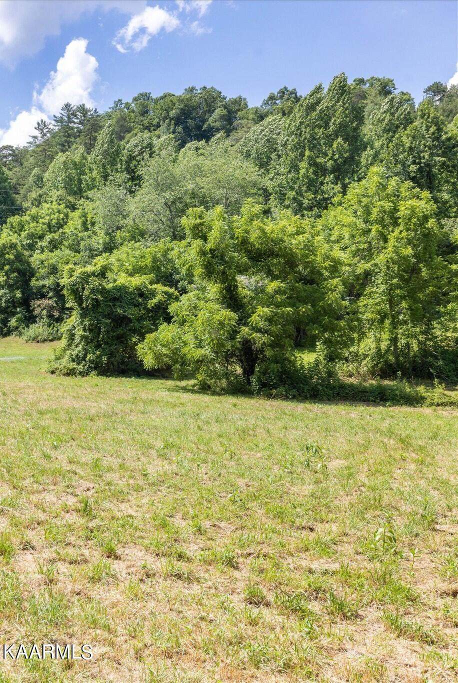 Henry Town Road Lot 2 - Photo 1