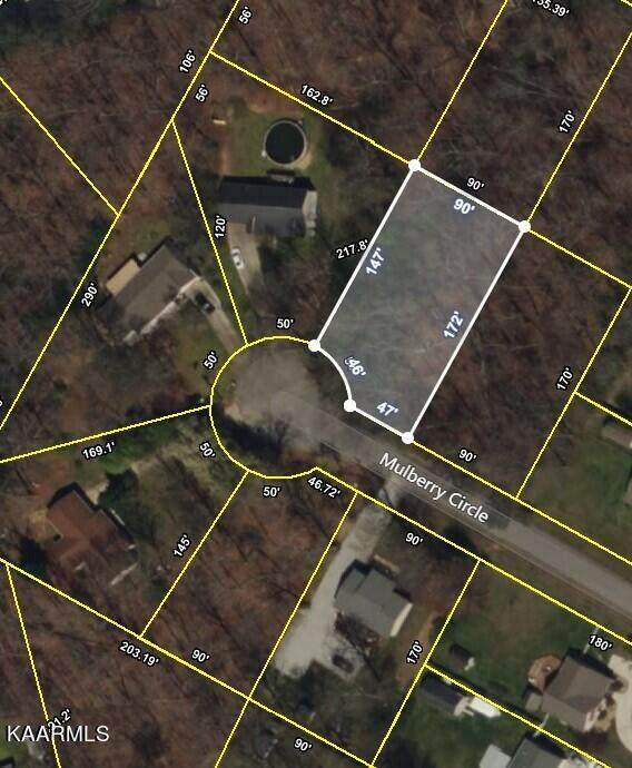 Mulberry Circle - Photo 1