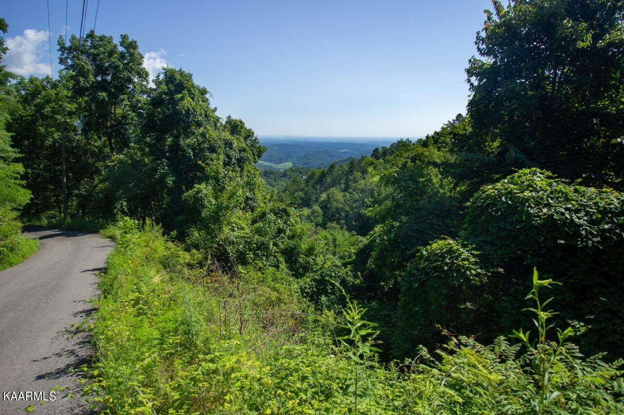 Lot 5 Balsam Slopes Rd - Photo 1