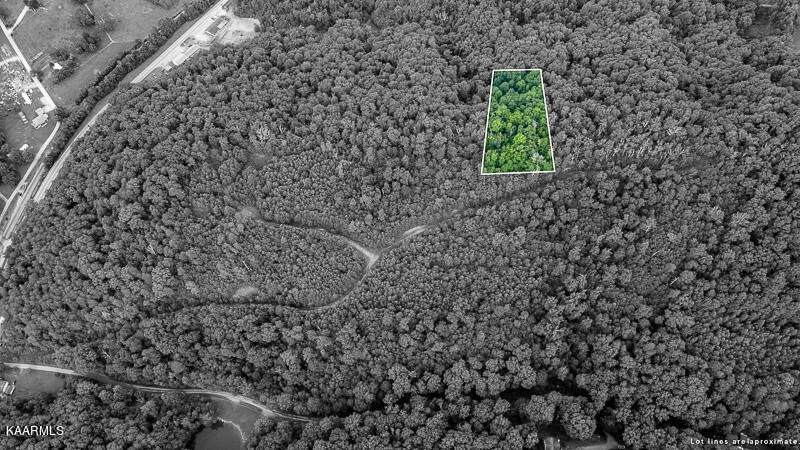 Stone Mountain Rd - Photo 1