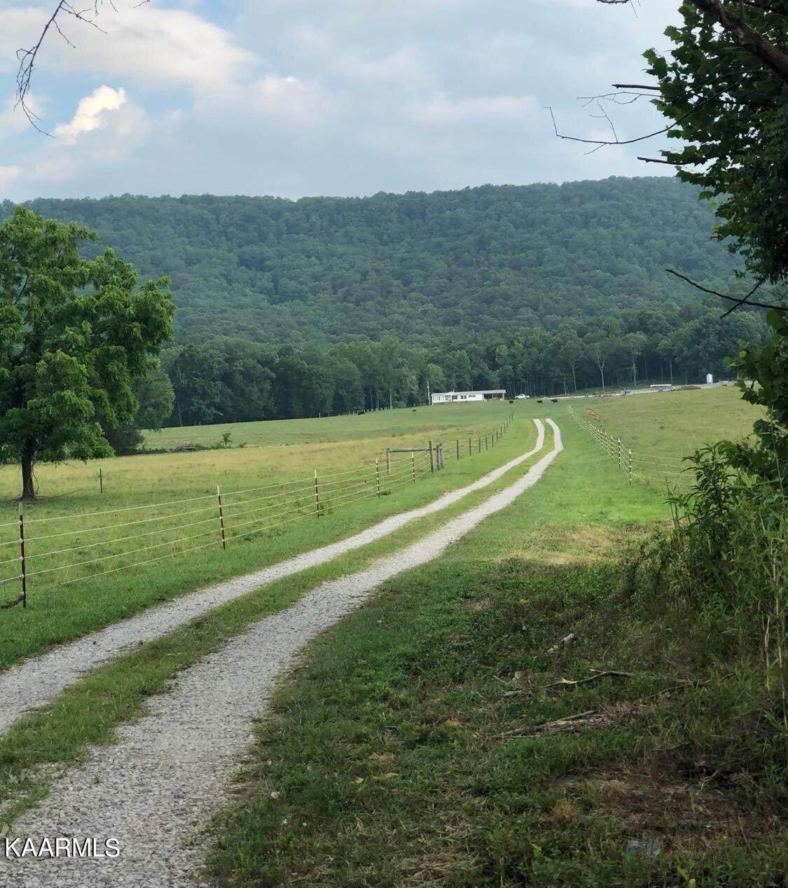 TBD Spring City Hwy - Photo 1
