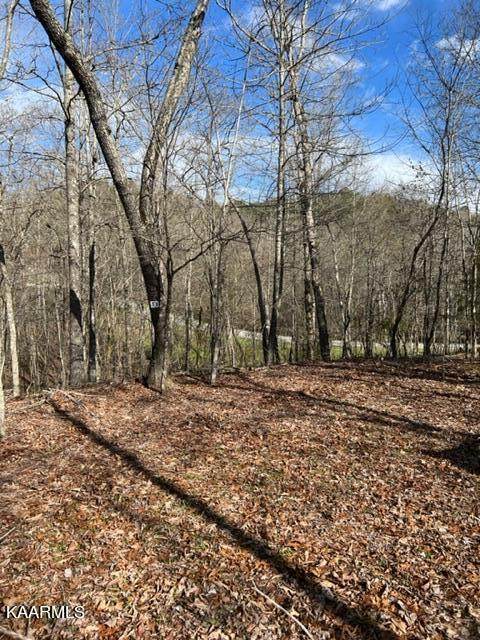 Crosswinds Rd - Photo 1