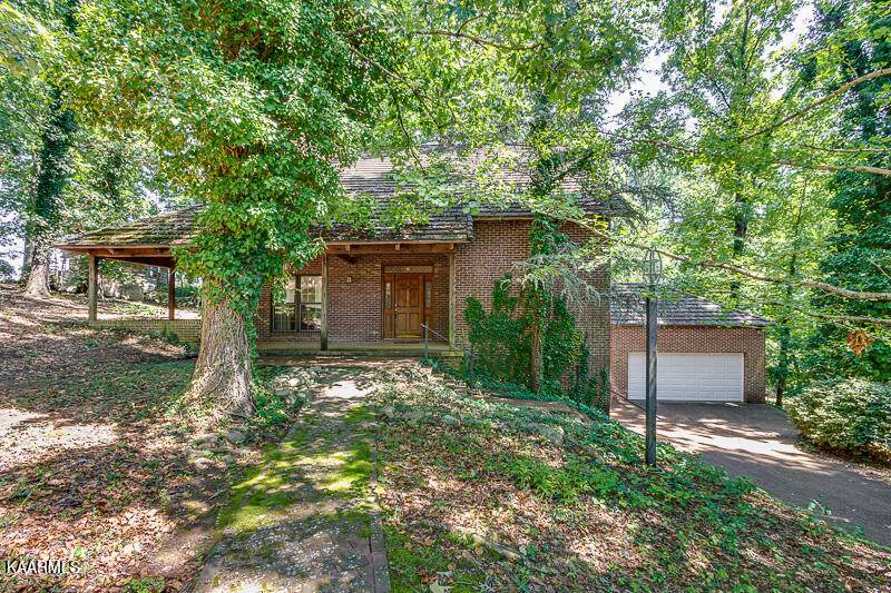 919 Eagle Nest Rd - Photo 1