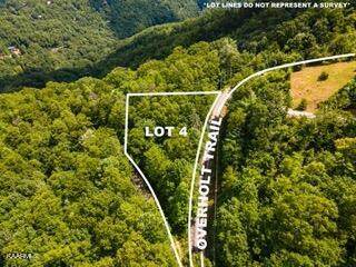 Overholt Trail - Photo 1