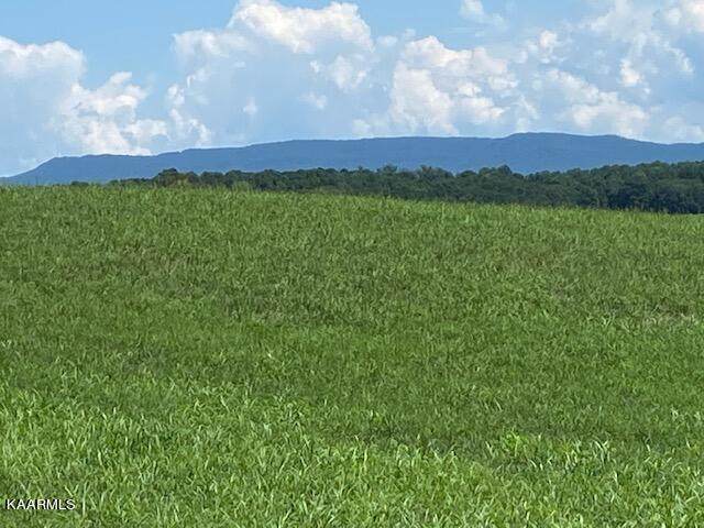 Lot 4 Mountain Vista Lane - Photo 1