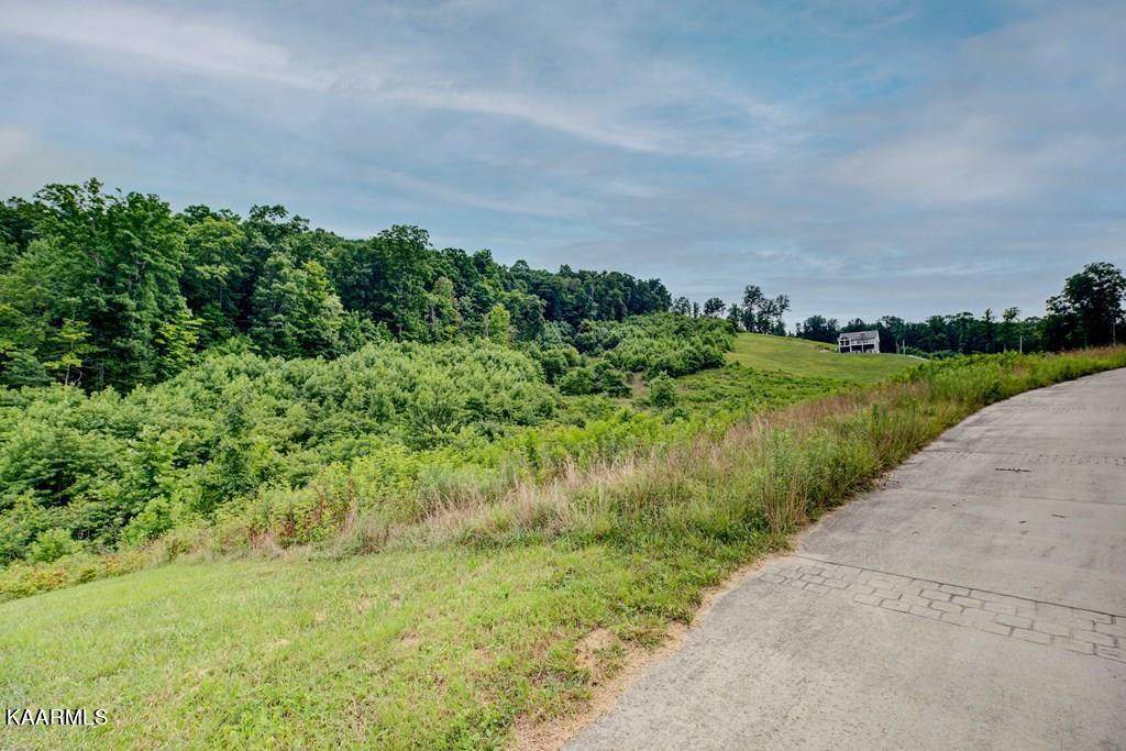 Lot 132 Mountain Way - Photo 1