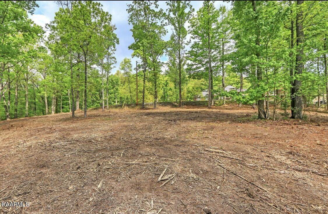 Cove Norris Rd - Photo 1