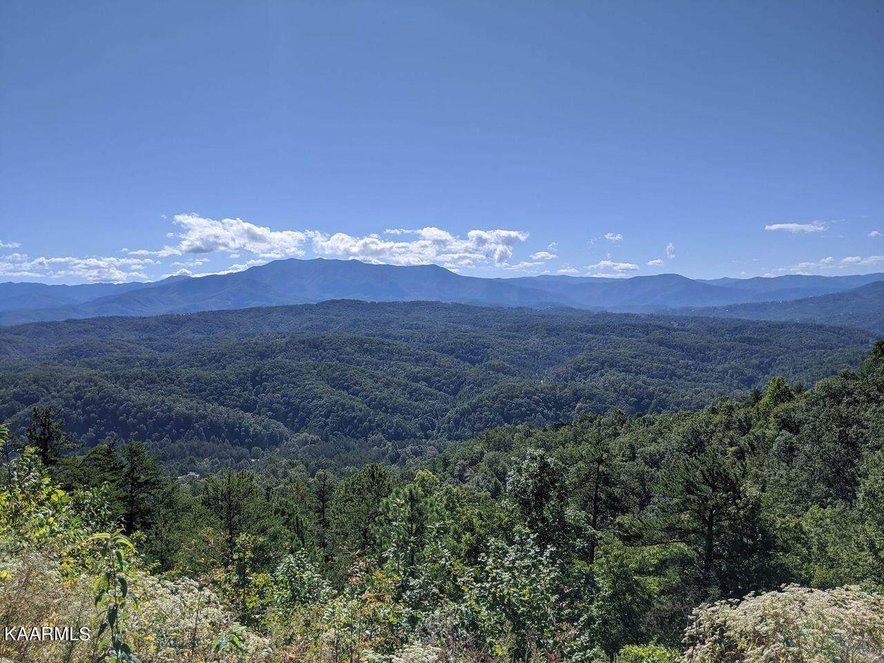 Mountain View Court - Photo 1