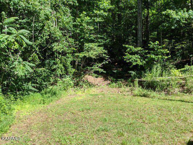 000 Laurel Lake Circle - Photo 1