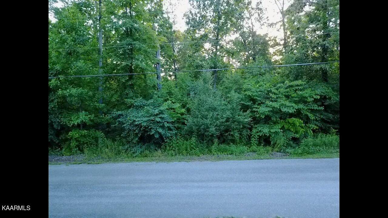 119 Winding Tr - Photo 1