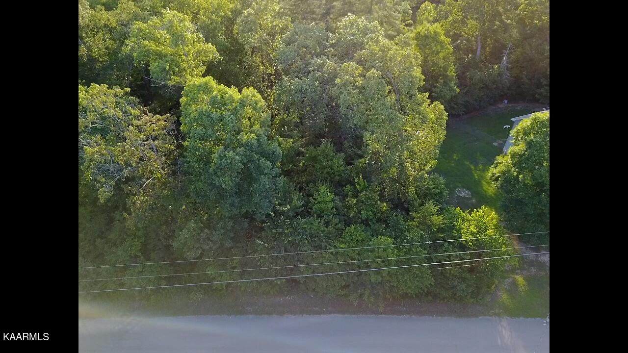 121 Winding Tr - Photo 1