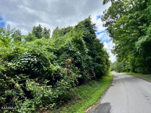 Rayl Hollow Rd - Photo 1