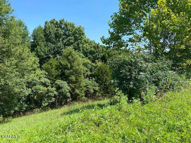 Lot 255 Marble Point Way - Photo 1