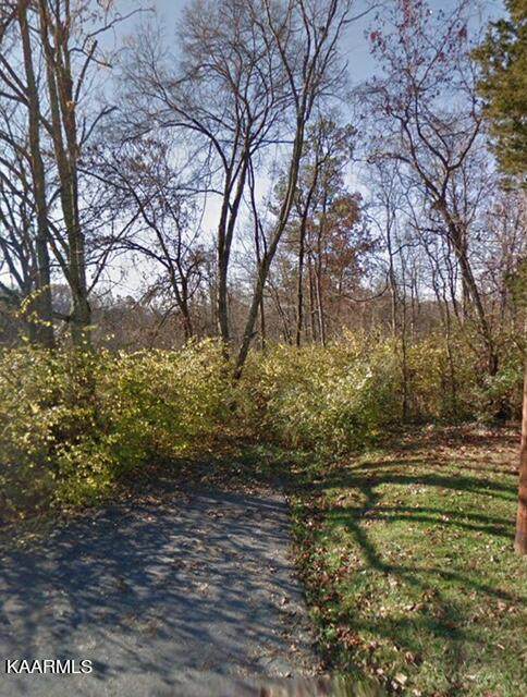 1411 Michaels Lane - Photo 1