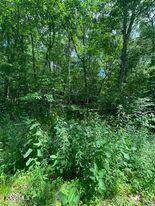 4022 Desoto Drive - Photo 1