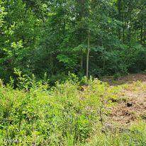 9000 Hondo Drive - Photo 1