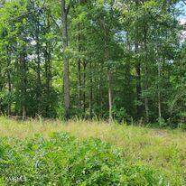 9205 Hondo Drive - Photo 1
