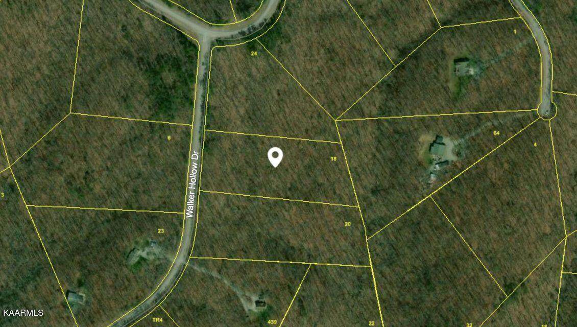 Walker Hollow Drive - Photo 1