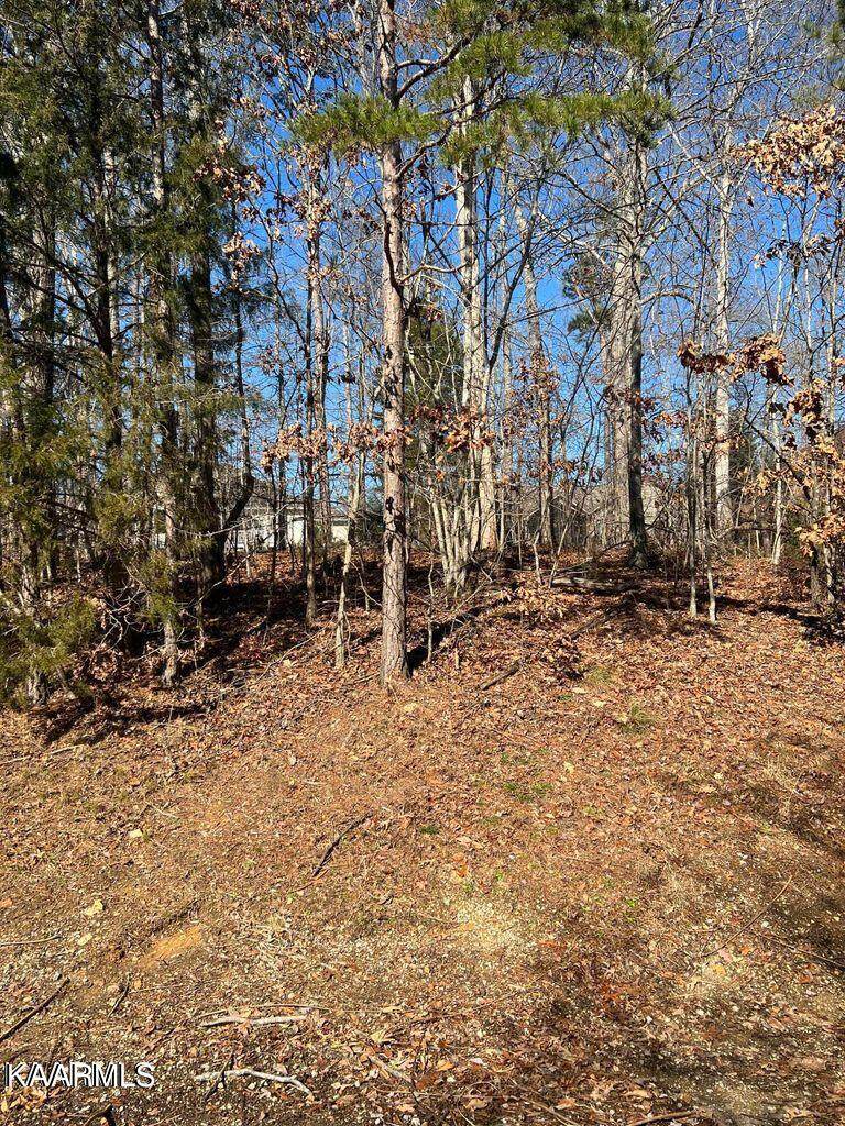 221 Tahlequah Drive - Photo 1