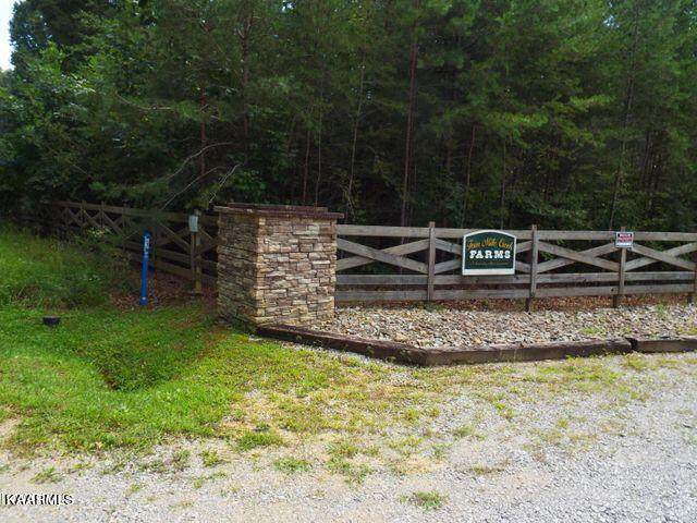 Lot 71 Four Mile Creek Rd - Photo 1