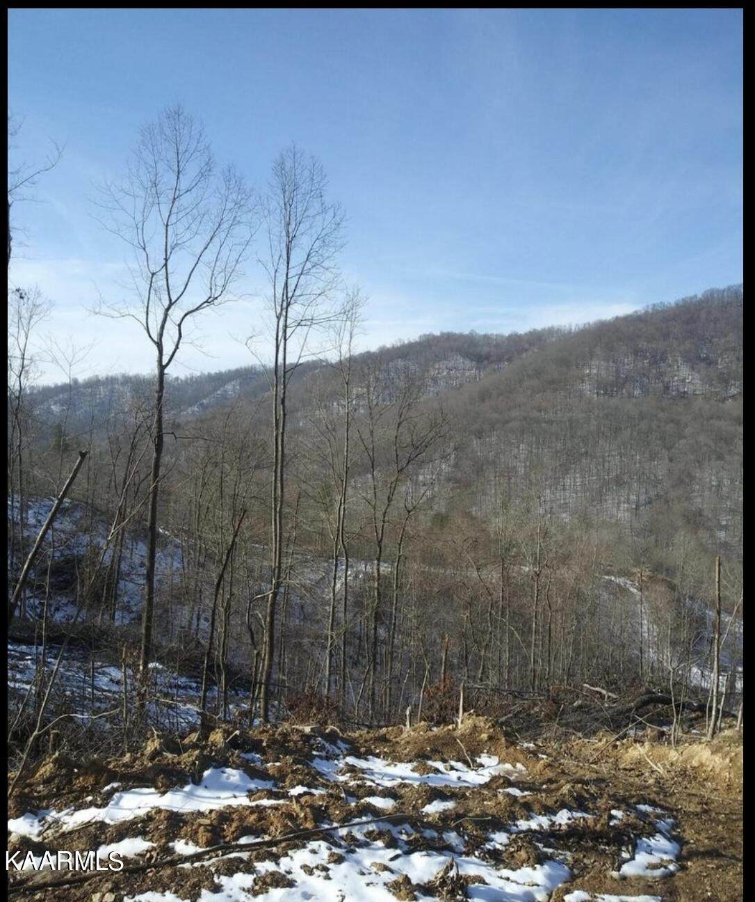 Stanley Creek Rd - Photo 1