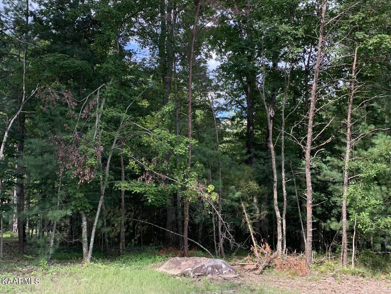 100 Forest Hill Drive - Photo 1