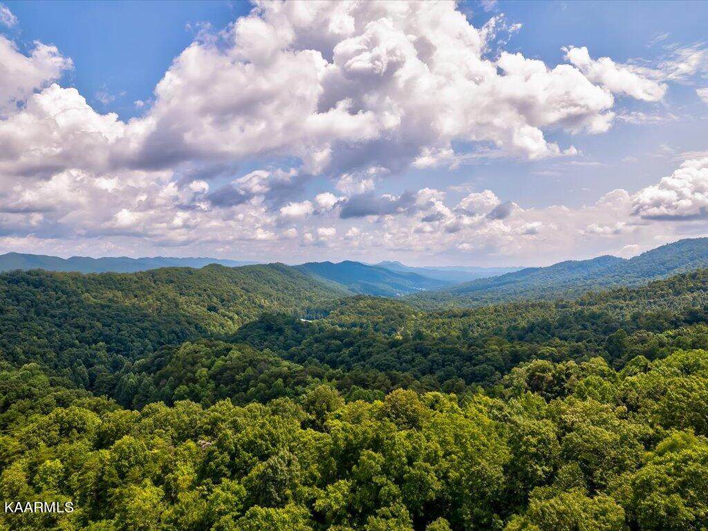 Cloud Creek Rd - Photo 1